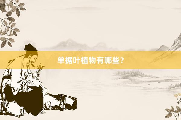 单据叶植物有哪些？