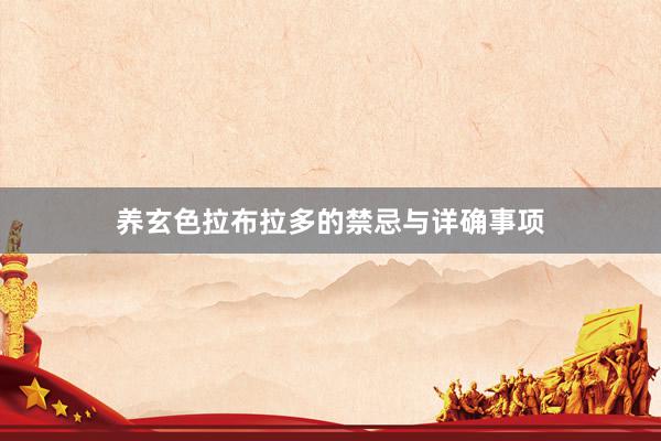 养玄色拉布拉多的禁忌与详确事项